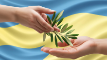 Projekt Daruji péči a klid